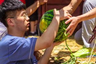大学博士吃瓜,揭秘高校学术圈那些鲜为人知的趣闻轶事